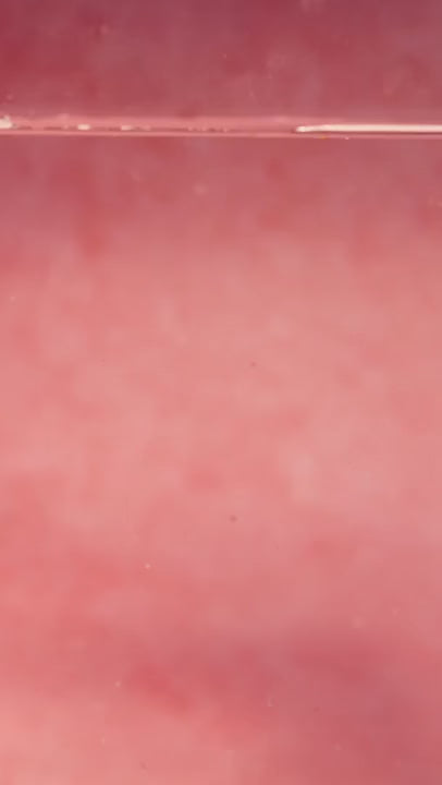 citrus berry video